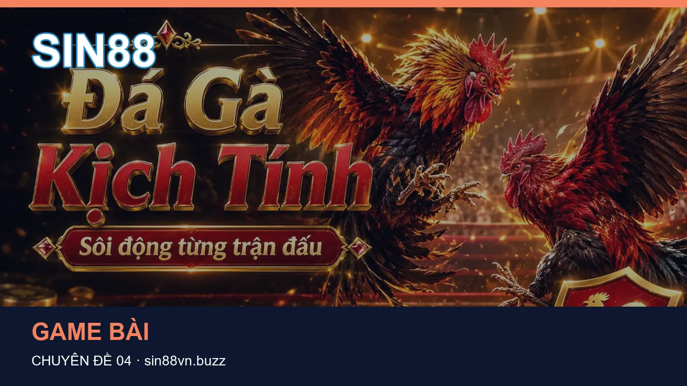 Hình minh họa bài viết SIN88