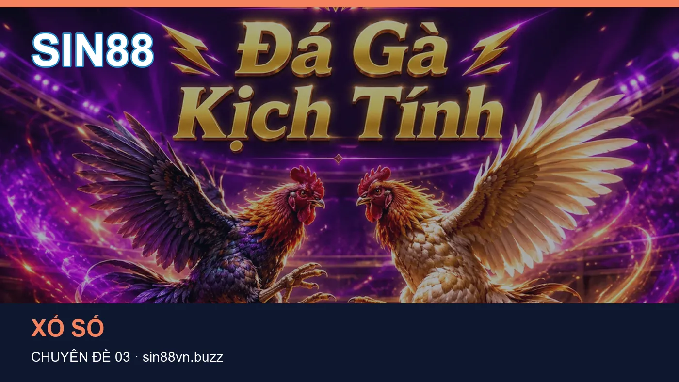 Hình minh họa bài viết SIN88