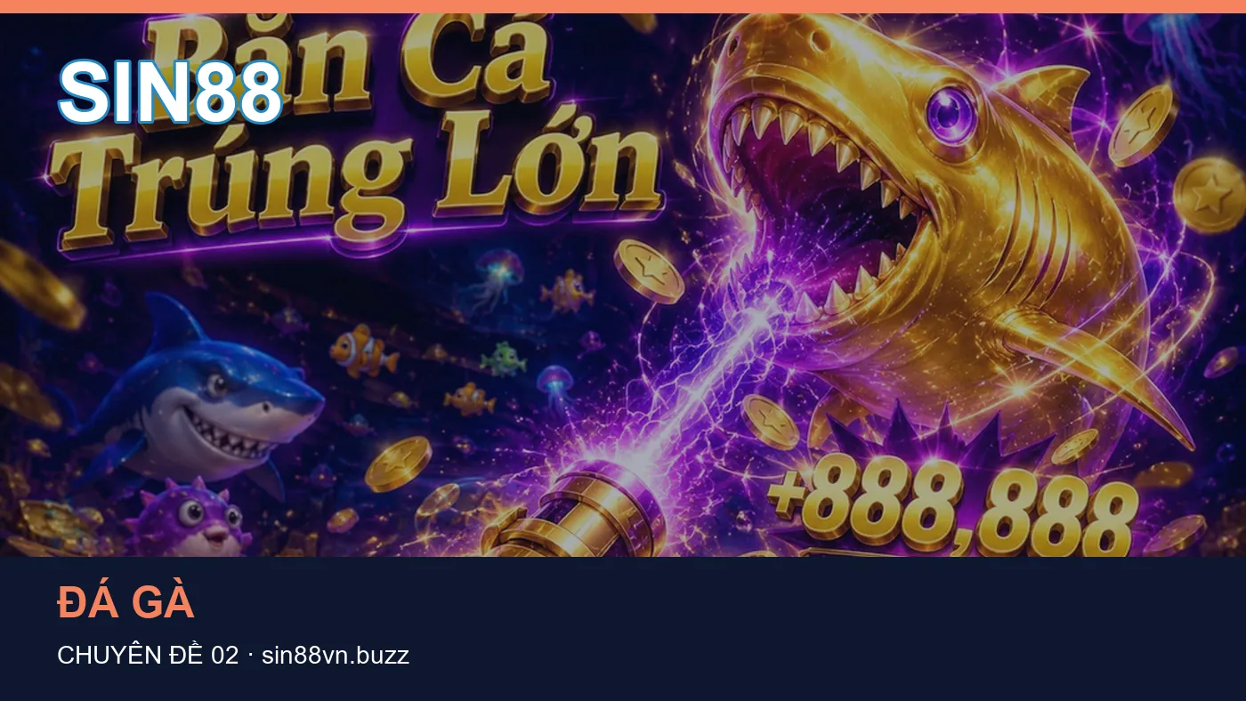 Hình minh họa bài viết SIN88