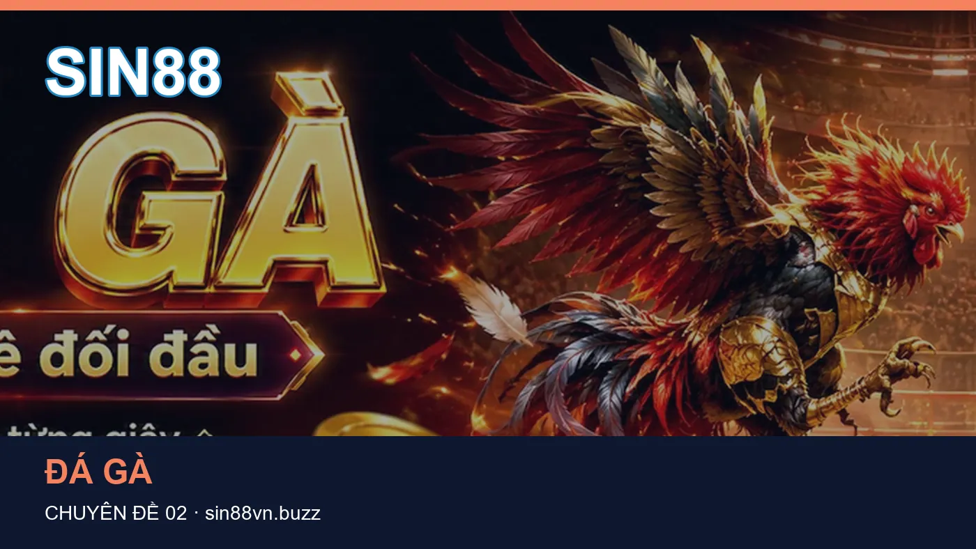 Hình minh họa bài viết SIN88